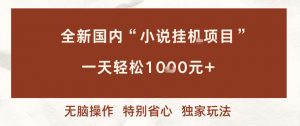 全新国内小说挂G项目，多窗口无脑跑，一天轻松1k+，特别省心【揭秘】-网创项目