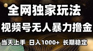 年底最新独家视频号无人直播撸礼物，小白也能轻松日入1k+，长期稳定，可批量复制【揭秘】-网创项目