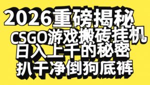 2026开年重磅解密，CSGO游戏搬砖挂G日入1k+的秘密，把倒狗的底裤扒干【揭秘】-网创项目