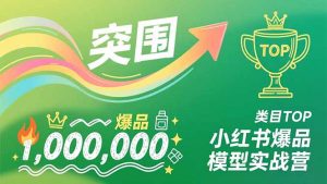 小红书爆品模型实战营，从新品突围到成为类目TOP，可复制路径，打造多个营收百万级爆品-网创项目