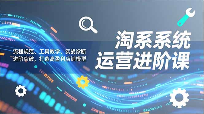 淘系系统运营进阶课2.0，流程规范、工具教学、实战诊断，进阶突破，打造高盈利店铺模型-网创项目