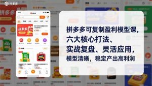 拼多多可复制盈利模型课,六大核心打法、实战复盘、灵活应用,模型清晰,稳定产出高利润-网创项目