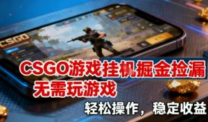 CSGO游戏挂G掘金捡漏，不需要玩游戏，操作简单，收益稳定【揭秘】-网创项目