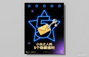 付费文章：小众之人的5个隐藏福利-网创项目