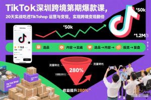 TikTok深圳跨境第2期爆款课,20天实战吃透TikTok Shop运营与变现,实现跨境变现翻倍-网创项目