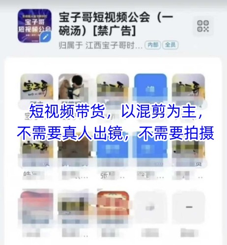 宝子哥头部团队短视频带货，以混剪为主，不需要真人出镜，不需要拍摄【更新12月】-网创项目
