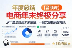 电商年未终极分享，从年度总结到未来展望，一站式赋能商家增长【音频课】-网创项目