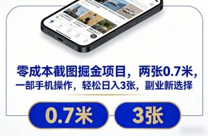 零成本截图掘金项目，两张0.7米，一部手机操作，轻松日入3张，副业新选择【揭秘】-网创项目