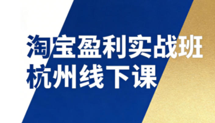 淘宝盈利实战班杭州线下课12月26-28日(音频+字幕)，帮你掌握SOP流程+12门核心技术-网创项目