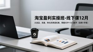 淘宝盈利实操班-线下课12月,从选品、流量、转化到渠道拓展,掌握SOP+12门技术(音频+字幕-网创项目