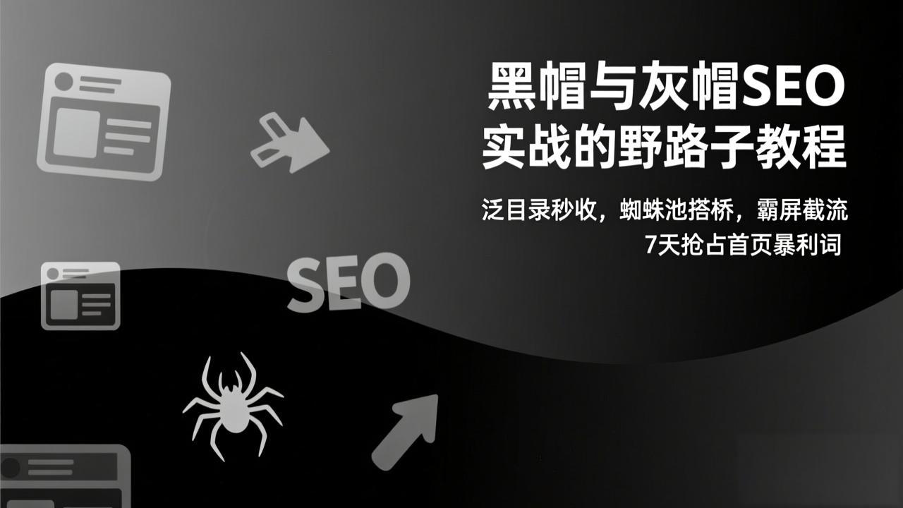 黑帽与灰帽SEO实战的野路子教程：泛目录秒收，蜘蛛池搭桥，霸屏截流，7天抢占首页暴利词-网创项目