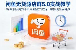 闲鱼无货源店群5.0实战教学，不补单，不投流，每天5小时，在闲鱼卖了几万单，每月5k到7k的净利润-网创项目