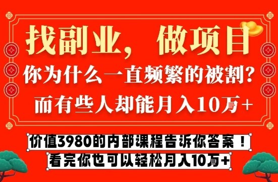 价值3980的网创内部课程，告诉你互联网创业月入10个W的秘密【揭秘】-网创项目