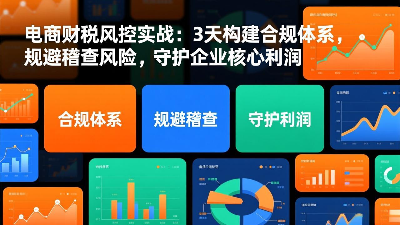 电商财税风控实战：3天构建合规体系，规避稽查风险，守护企业核心利润-网创项目