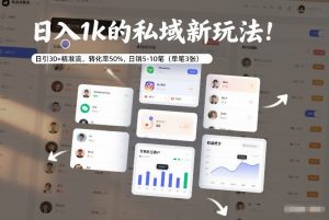 日入1k的私域新玩法:日引30+精准流,转化率50%,日销5-10笔(单笔3张)-网创项目