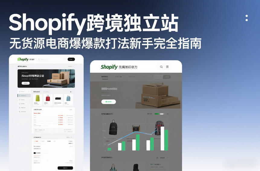 Shopify跨境独立站无货源电商爆款打法新手完全指南-网创项目