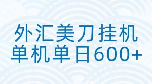 外汇美刀挂机：全自动挂机赚美金，单机600+-网创项目