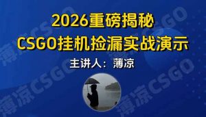 CSGO游戏挂机游戏搬砖最新升级，普通小白一部手机可日入300+当天见结果，支持验证-网创项目