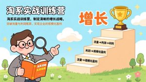 淘系实战训练营，制定清晰的增长战略，突破流量与利润瓶颈，实现企业的规模化盈利-网创项目