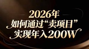 站在2026年的十字路口:一个普通人如何通过卖项目实现年入200万-网创项目