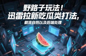 野路子玩法！迅雷拉新吃瓜类打法，截流自热以及后端处理-网创项目