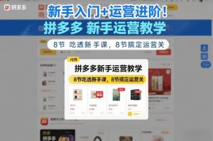 新手入门+运营进阶！拼多多新手运营教学，8节吃透新手课，8节搞定运营关-网创项目