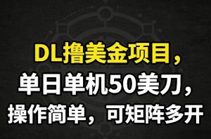 DL撸美金项目,单日单机50美刀,操作简单,可矩阵多开-网创项目