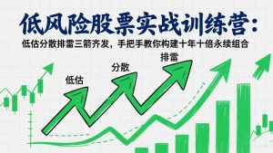 低风险股票实战训练营：低估分散排雷三箭齐发，手把手教你构建十年十倍永续组合-网创项目