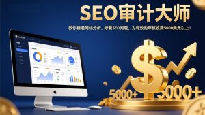 SEO审计大师：教你精通网站分析，修复SEO问题，为有效的审核收费5000美元以上！-网创项目