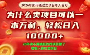 一单净利润1K+，26年想年入100个W，死磕卖项目就够了【揭秘】-网创项目