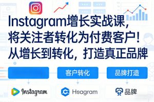 Instagram增长实战课,将关注者转化为付费客户!从增长到转化,打造真正品牌(双语字幕)-网创项目