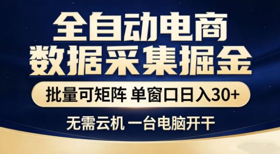 独家电商数据全自动采集项目，批量可矩阵，单窗口轻松日入3张+【揭秘】-网创项目