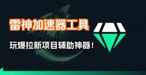 雷神加速器项目模拟器_无脑1分钟1条视频矩阵_疯狂报单打法【焚诀】-网创项目