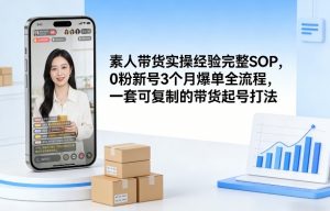 素人短视频带货实操经验完整SOP,0粉新号3个月爆单全流程,一套可复制的带货起号打法-网创项目
