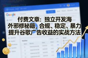 付费文章：独立开发海外邪修秘籍，合规、稳定、暴力提升谷歌广告收益的实战方法-网创项目