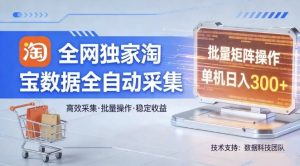 全网独家，淘宝数据全自动采集项目，批量可矩阵，单机轻松日入300【揭秘】-网创项目