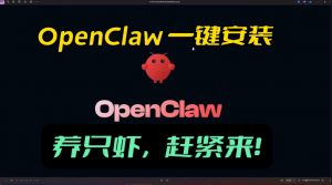 openclaw安装教程和资料,10分钟搞定,一切,让你轻松拥有龙虾-网创项目