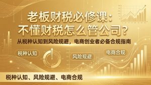 老板财税必修课：不懂财税怎么管公司？从税种认知到风险规避，电商创业者必备合规指南-网创项目