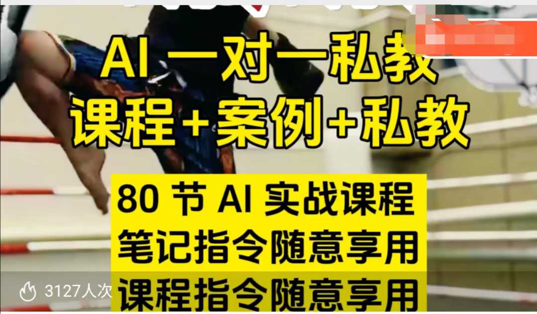 AI指令实战课，课程+案例，80节AI实战课程，笔记指令随意享用，课程指令随意享用(更新26年3月)-网创项目