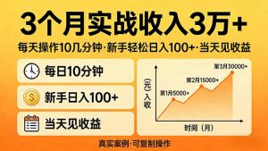 3个月实战收入3万+，每天操作10几分钟，新手轻松日入100+，当天见收益-网创项目