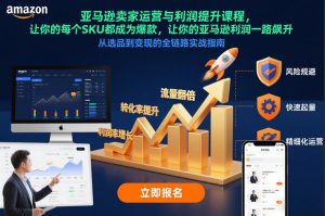 亚马逊卖家运营与利润提升课程,让你的每个SKU都成为爆款,让你的亚马逊利润一路飙升(更新26年3月)-网创项目