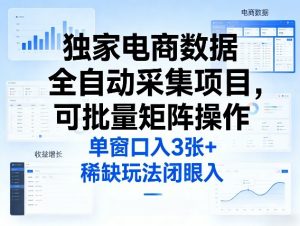 独家电商数据全自动采集项目，可批量矩阵操作，单窗口日入3张+，稀缺玩法闭眼入【揭秘】-网创项目