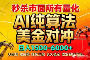 2026全网首发黑马项目，AI美金算法对冲，日入2000-6000+，稳定长效0风险，彻底告别996死工资-网创项目