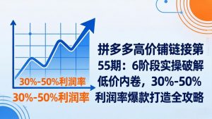 拼多多高价铺链接第55期：6阶段实操破解低价内卷，30%-50%利润率爆款打造全攻略-网创项目