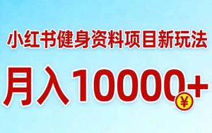 小红书健身资料项目最新玩法，月入10000＋，收益潜力可以无限放大-网创项目
