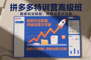 拼多多特训营高阶班，独家玩法赋能，突破运营天花板(更新26年3月19日)-网创项目
