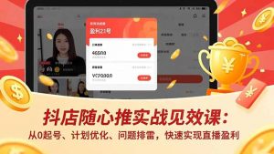 抖店随心推实战见效课(更新-网创项目