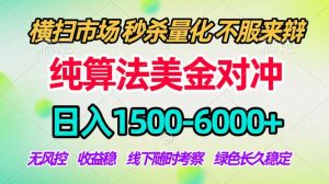 2026美金掘金新风口-纯算法对冲震撼上线！日入1500-6000+，长久合规稳健，轻松摆脱死工资-网创项目