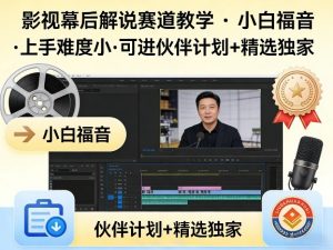 某大佬的影视幕后解说赛道教学，小白福音，上手难度小，可进伙伴计划+精选独家-网创项目