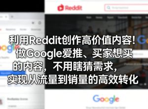 利用Reddit创作高价值内容！做Google爱推、买家想买的内容，不用瞎猜需求，实现从流量到销量的高效转化-网创项目